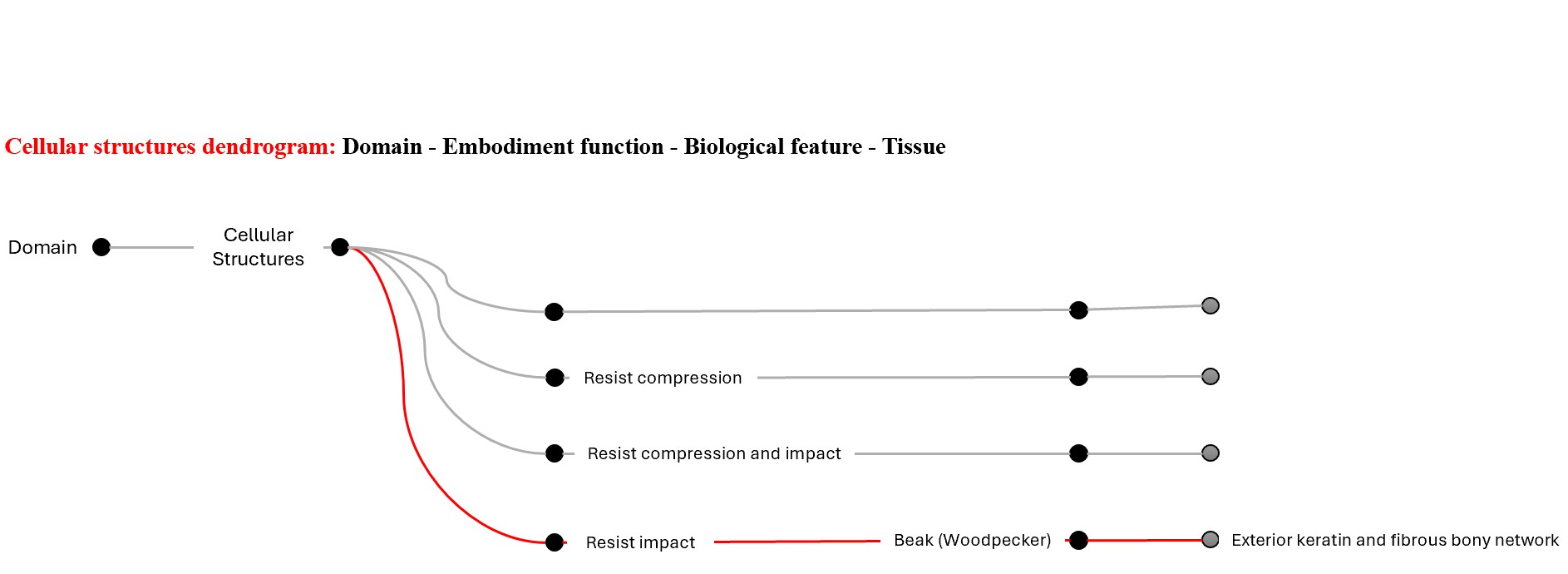 Cellular Dendrogram 1